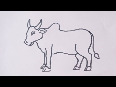 Ox drawing / Ox outline drawing easy step by step / Jallikattu ox drawing