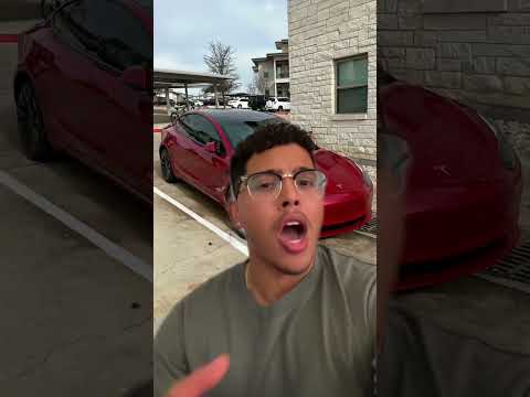 Tesla Insurance?