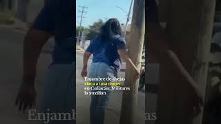 Abejas tunden a mujer