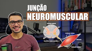 JUNÇÃO NEUROMUSCULAR [Fibras Musculares 07]