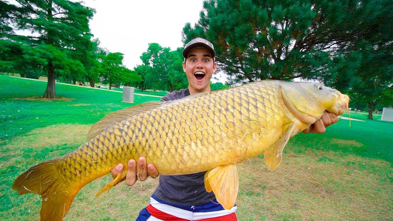 BEST FISHING MOMENTS OF 2017