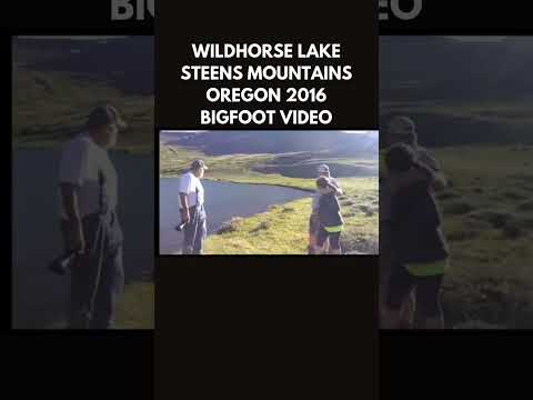 Bigfoot footage from Oregon, circa 2016, Wildhorse Lake, Steens Mountains #bigfoot #sasquatch