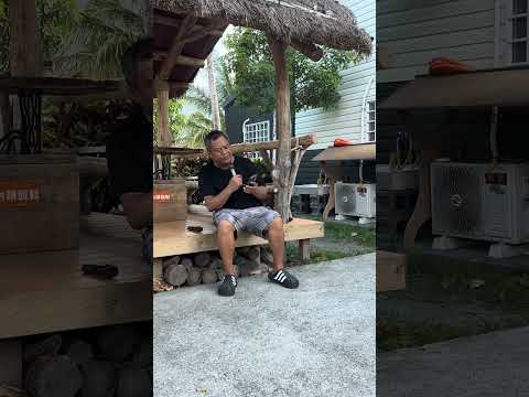 求解 這是什麼歌？