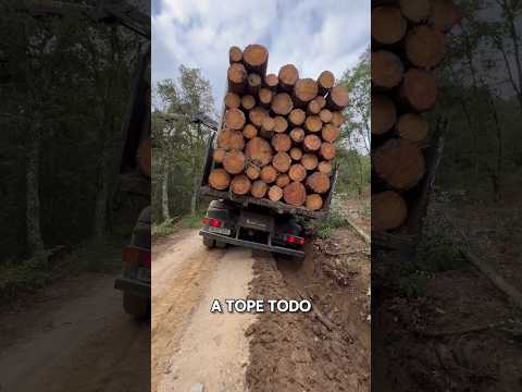CASI VOLCAMOS