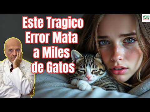 🆘 ¡CUIDADO CON ESTE PELIGROSO ERROR, YA QUE MATARA A TU GATO! 🆘