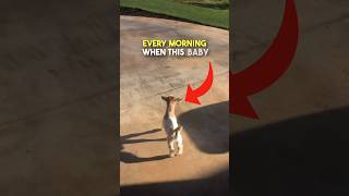 This Goat is the GOAT 😂