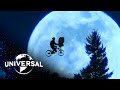 Adventure in the Forest