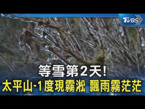 等雪第2天! 太平山 1度現霧淞 飄雨霧茫茫｜TVBS新聞 @TVBSNEWS02