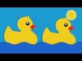 Journey of the Plastic Ducks