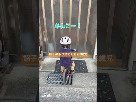 餡子の取り立てをする2歳児