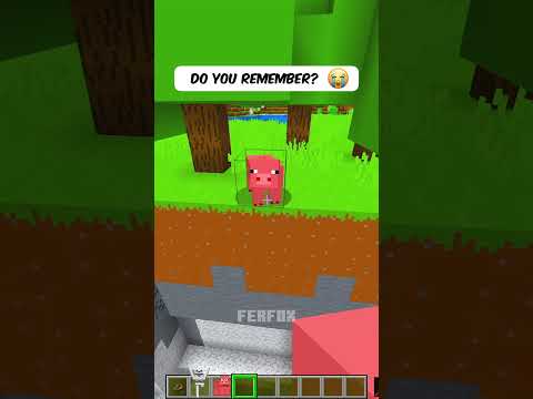 Do You Remember.. 🥺 #shorts #minecraft