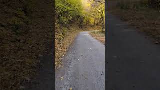 #българия #природа #bike #mountains