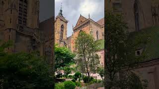 Münster Colmar #shorts