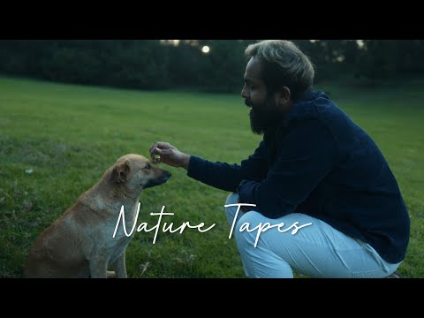 love you the same (Nature Tapes)