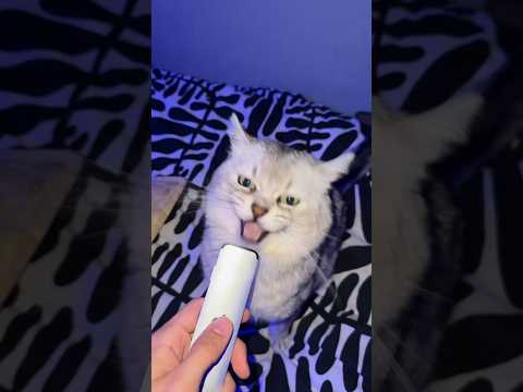 Don’t Talk In The Microphone!