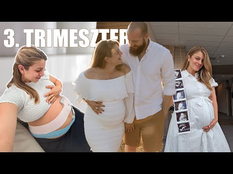 3. TRIMESZTER HÉTRŐL HÉTRE｜28-40.hét