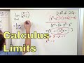 Understanding Limits and Rational Functions