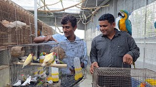 Beautiful Colorful Birds With Eggs Arrive at Our New Farm – A Wonderful Gift!