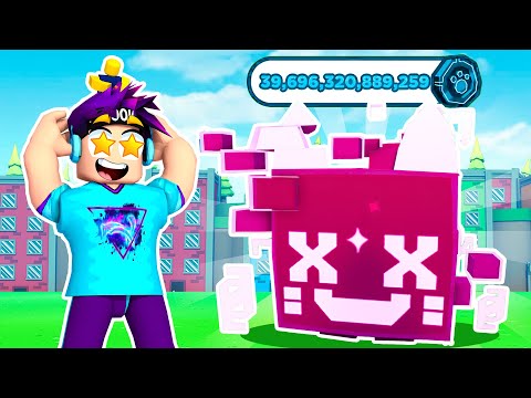 I Got the 1st Rainbow HUGE Hacked Cat, But Was it a SCAM?! -- Pet Simulator X