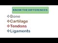 Exploring the Components of the Skeletal System
