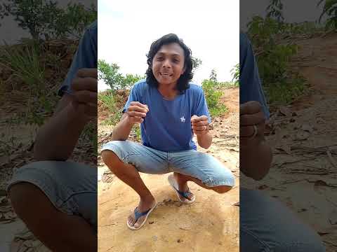 Primeira Lei de Newton #experimento #física #matemática #educação #ciência