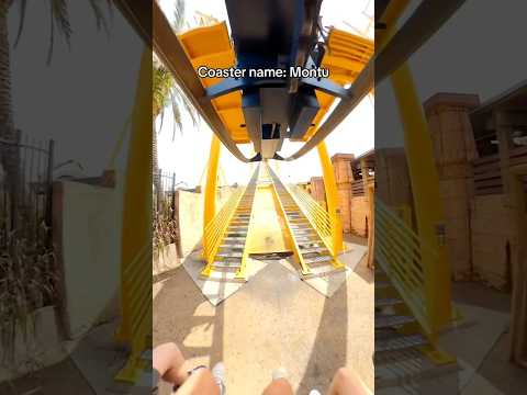The Rollercoaster…