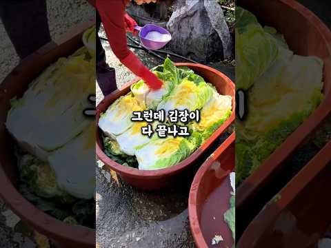 김장 때마다 나 몰라라하던 얌체 형님의 최후