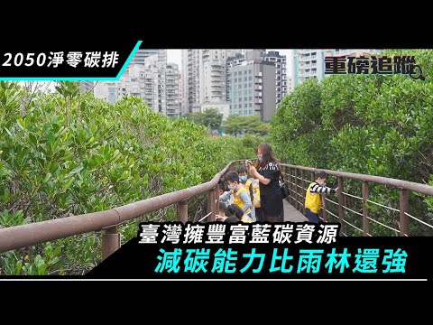 比雨林還強！台灣擁豐富藍碳資源　2050淨零碳排就靠它 - YouTube(9:24)