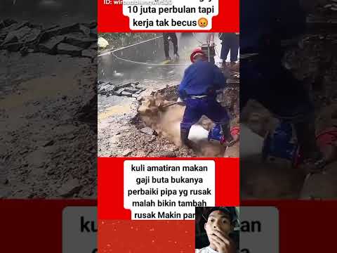 kerja proesional