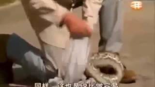 Snake Documetary   You Will Pray That Doesn't Happen To You   Snake Full Documentary   Animal Planet