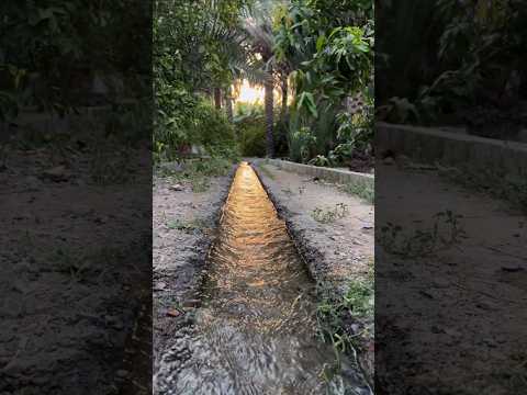 يوميات عماني في المزرعة 🇴🇲