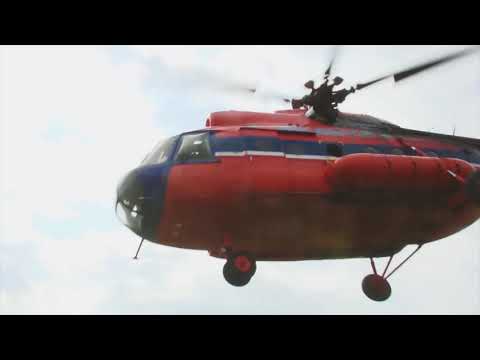 Берегите Лес!