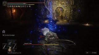 ELDEN RING Sanguine Noble
