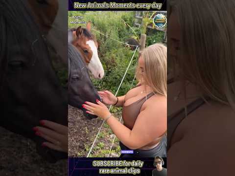 What Happens When Animals Go Wild and Cute