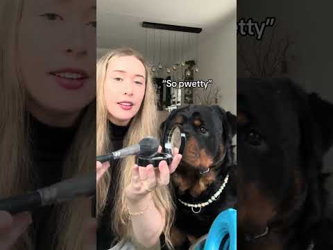 💕💕 #rottweiler #funny #dogs