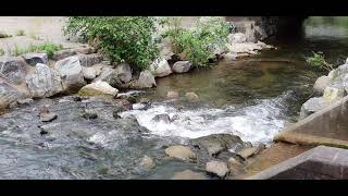 FLOWING RIVER  #shorts