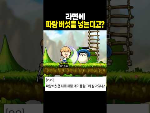 심각한 메이플 중독자