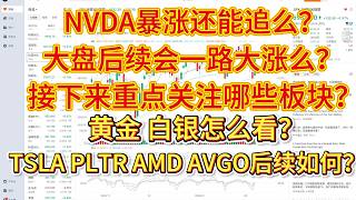 NVDA暴涨还能追么？大盘后续会一路大涨么？接下来重点关注哪些板块？黄金白银怎么看？TSLA、PLTR、AVGO、AMD后续怎么看？