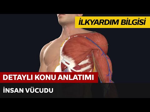 Temel Yaşam Desteği, Solunum ve Kalp Durması