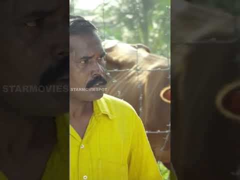 கந்தன் ஓடதான் வீட்டுக்கு போறோம் #shorts | Kayiru | S.R.Gunaa | Hello Kandasamy | Kavya Madhav