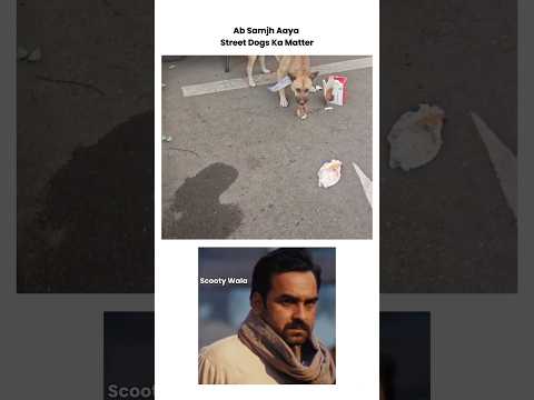 Kutta Burger Kha Gya 😎 #indian #funny #public #memes #moment #dog #shorts