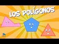 Understanding Polygons and Their Properties