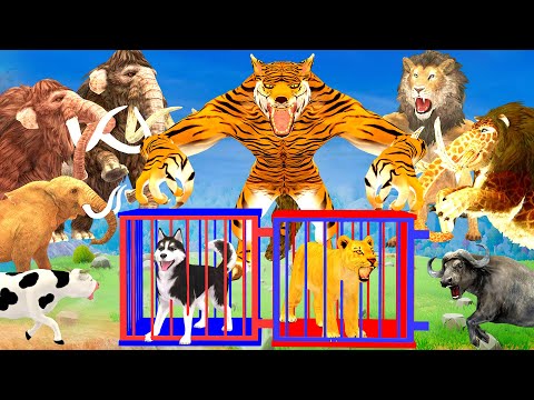 5 Giant Elephant Cow vs 5 Tiger Wolf Monster Lion Attack Lion Cub Dog Saved by Woolly Mammoth Battle