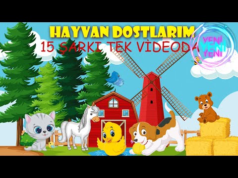 Aysuda Ülkü Zeren - 15 Şarkı Tek Videoda | Hayvan Dostlarım