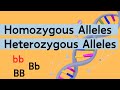 Genetics: Heterozygous and Homozygous Concepts