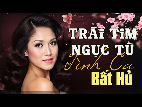 Tình Ca Phòng Trà – Nhẹ Nhàng Như Làn Gió Đêm - Tình Ca Lãng Mạn Nghe Là Yêu