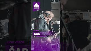 Čad - Live from Brutal Assault 2024 #brutalassault #festival