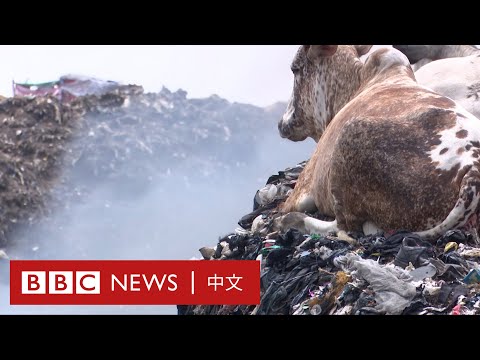 快時尚製造大量廢棄衣物 環境因而付出代價－ BBC News 中文 - YouTube