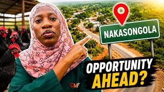 DON'T Buy Land Yet‼️ But Every Poultry Farmer Should Be Watching Nakasongola