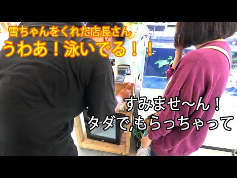#16  店長さんは雪ちゃんの幸せを願っていました。